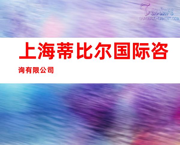 上海蒂比尔国际咨询有限公司